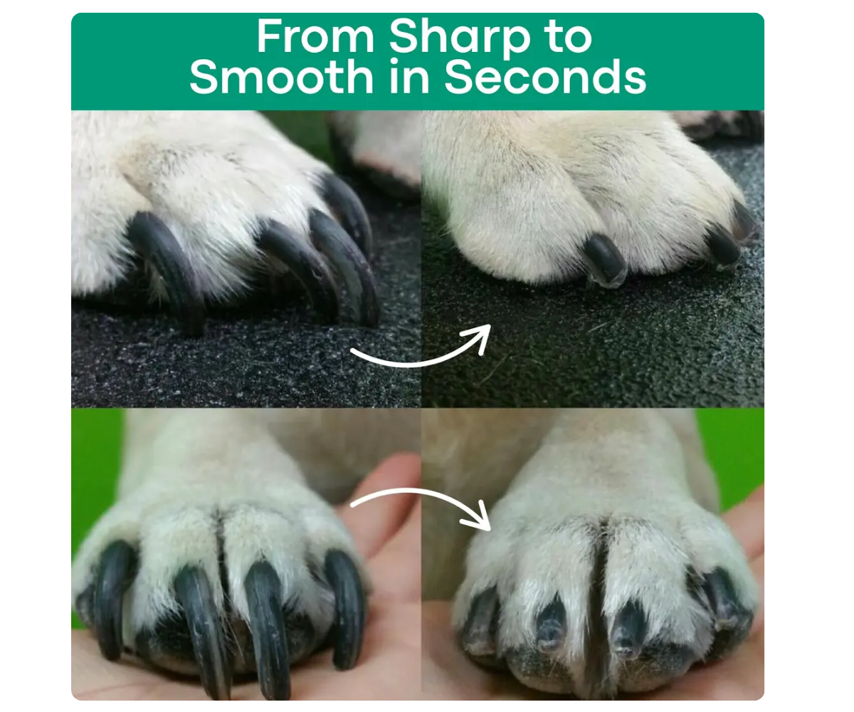 The Nailguard™ By Pawsafe