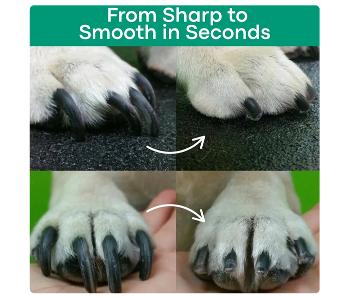 The Nailguard™ By Pawsafe