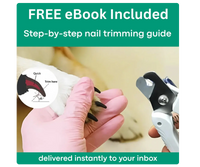 The Nailguard™ By Pawsafe